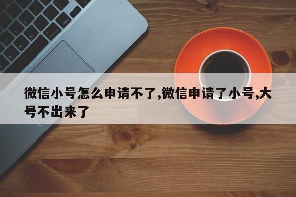 微信小号怎么申请不了,微信申请了小号,大号不出来了-第1张图片-天启科技