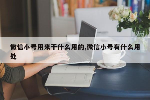 微信小号用来干什么用的,微信小号有什么用处-第1张图片-天启科技