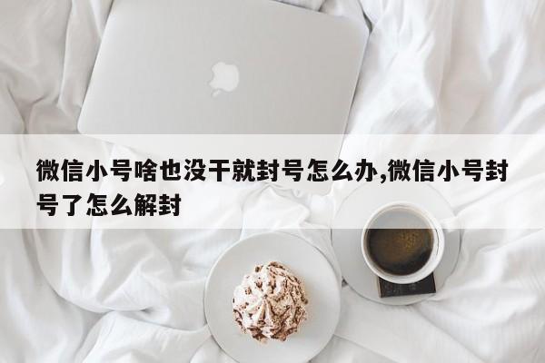 微信小号啥也没干就封号怎么办,微信小号封号了怎么解封-第1张图片-天启科技