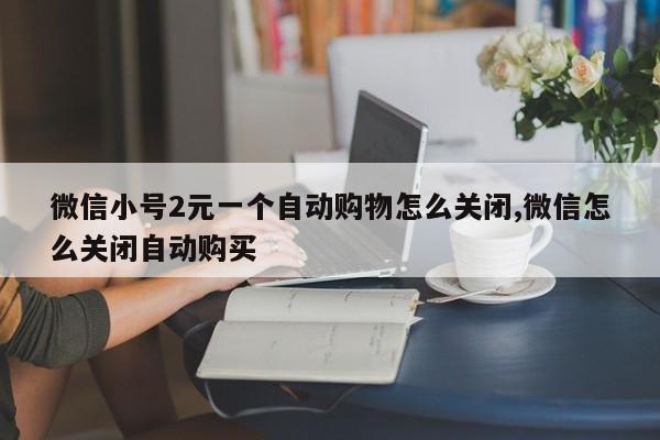 微信小号2元一个自动购物怎么关闭,微信怎么关闭自动购买-第1张图片-天启科技