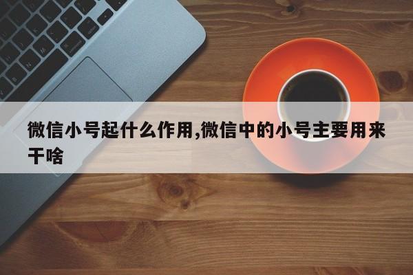 微信小号起什么作用,微信中的小号主要用来干啥-第1张图片-天启科技