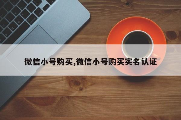 微信小号购买,微信小号购买实名认证-第1张图片-天启科技