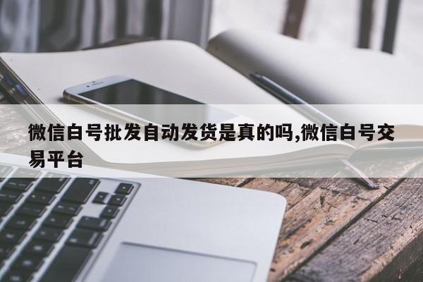 微信白号批发自动发货是真的吗,微信白号交易平台-第1张图片-天启科技