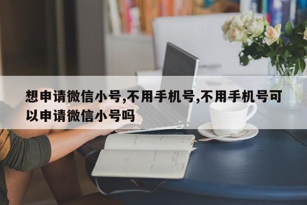 想申请微信小号,不用手机号,不用手机号可以申请微信小号吗-第1张图片-天启科技