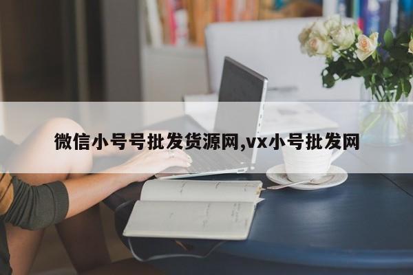 微信小号号批发货源网,vx小号批发网-第1张图片-天启科技