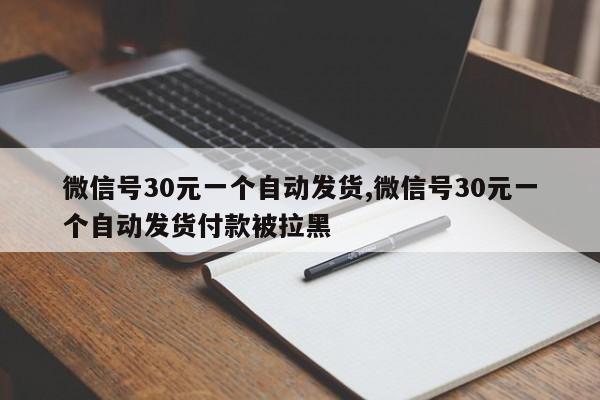 微信号30元一个自动发货,微信号30元一个自动发货付款被拉黑-第1张图片-天启科技