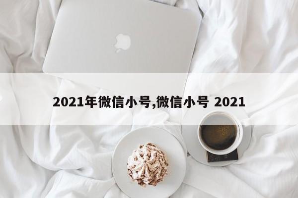 2021年微信小号,微信小号 2021-第1张图片-天启科技