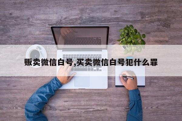 贩卖微信白号,买卖微信白号犯什么罪-第1张图片-天启科技