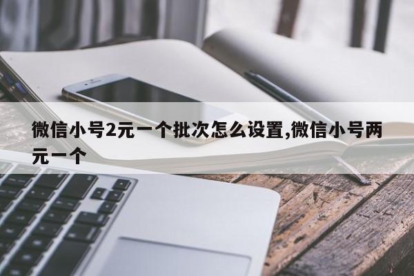 微信小号2元一个批次怎么设置,微信小号两元一个-第1张图片-天启科技