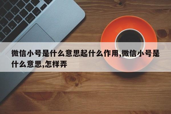 微信小号是什么意思起什么作用,微信小号是什么意思,怎样弄-第1张图片-天启科技