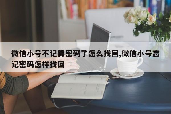 微信小号不记得密码了怎么找回,微信小号忘记密码怎样找回-第1张图片-天启科技