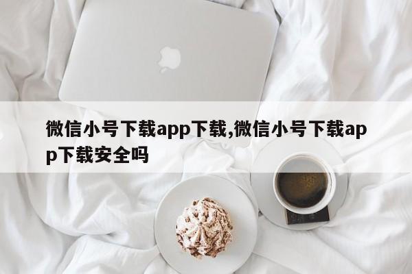 微信小号下载app下载,微信小号下载app下载安全吗-第1张图片-天启科技