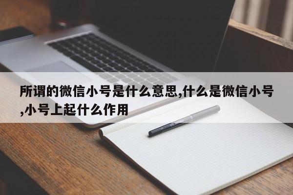 所谓的微信小号是什么意思,什么是微信小号,小号上起什么作用-第1张图片-天启科技