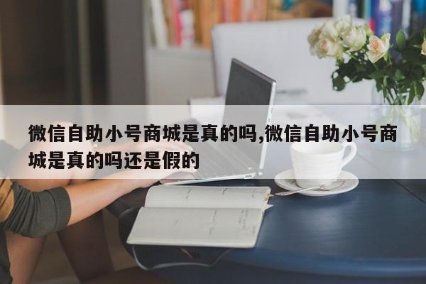 微信自助小号商城是真的吗,微信自助小号商城是真的吗还是假的-第1张图片-天启科技