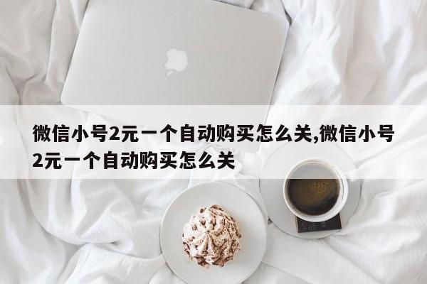 微信小号2元一个自动购买怎么关,微信小号2元一个自动购买怎么关-第1张图片-天启科技