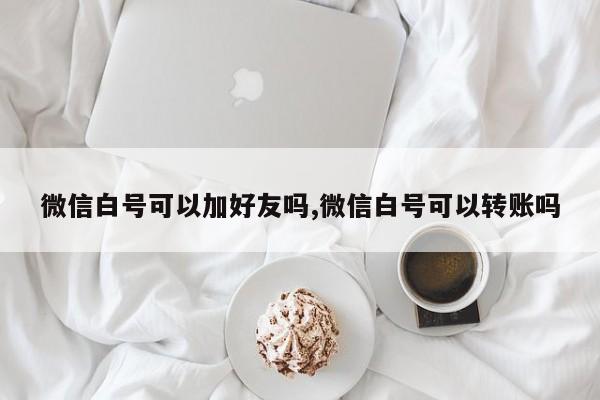 微信白号可以加好友吗,微信白号可以转账吗-第1张图片-天启科技