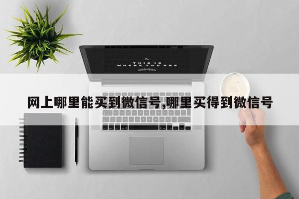 网上哪里能买到微信号,哪里买得到微信号-第1张图片-天启科技