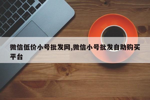 微信低价小号批发网,微信小号批发自助购买平台-第1张图片-天启科技