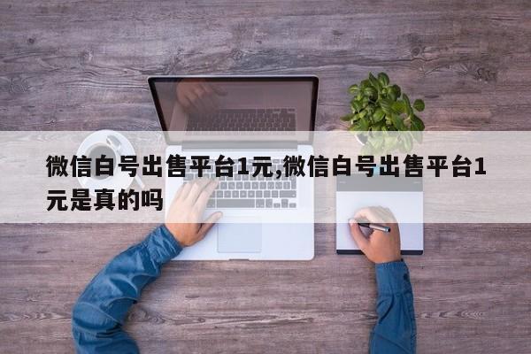 微信白号出售平台1元,微信白号出售平台1元是真的吗-第1张图片-天启科技