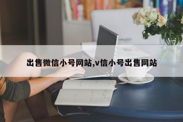 出售微信小号网站,v信小号出售网站-第1张图片-天启科技