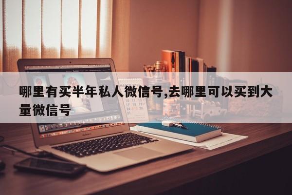 哪里有买半年私人微信号,去哪里可以买到大量微信号-第1张图片-天启科技