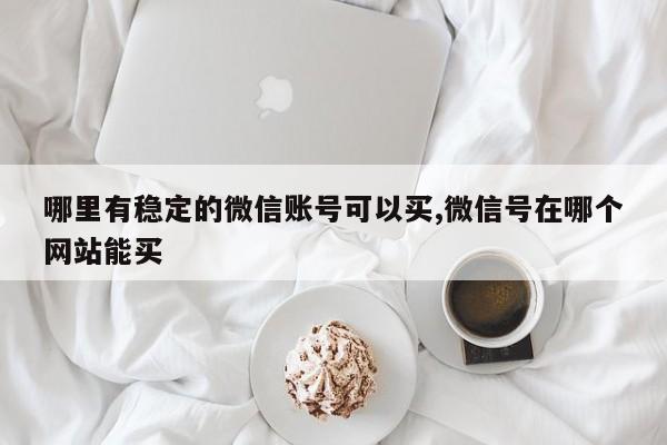 哪里有稳定的微信账号可以买,微信号在哪个网站能买-第1张图片-天启科技